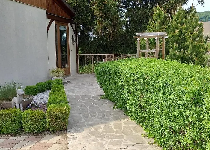 Σπίτι διακοπών Du Bel Air Festigny (Marne)