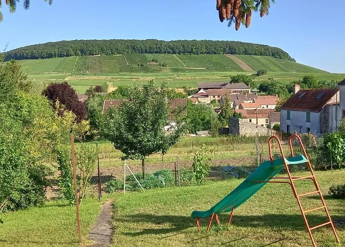 Du Bel Air Festigny (Marne)